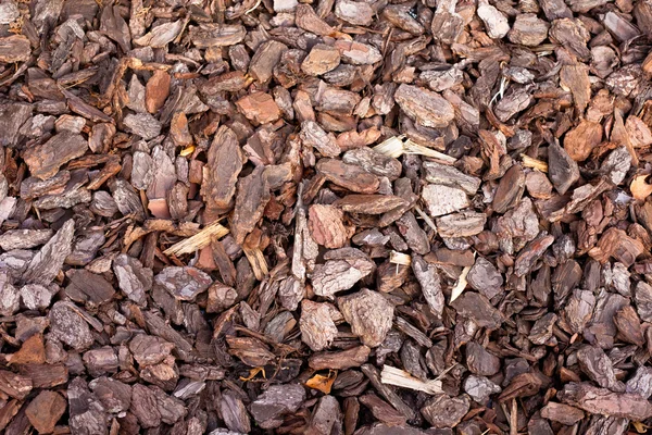 Bark mulch fundo — Fotografia de Stock