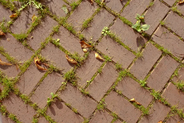 stock image Red terra cotta brick pattern