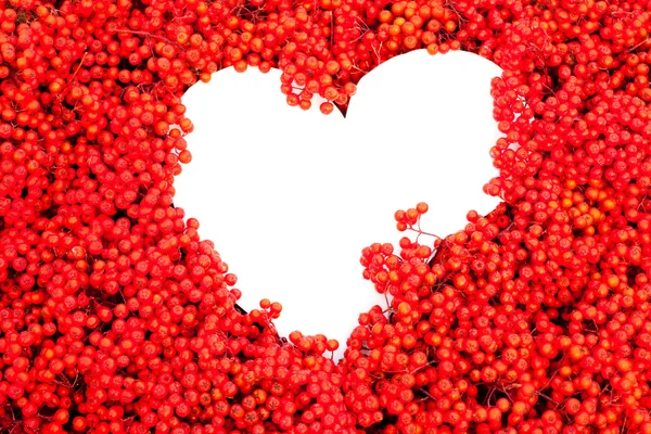 Üvez meyveleri ile kalp şeklindeki beyaz boşaltmak — Stok fotoğraf