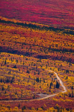 yol boyunca renkli tundra düşmek