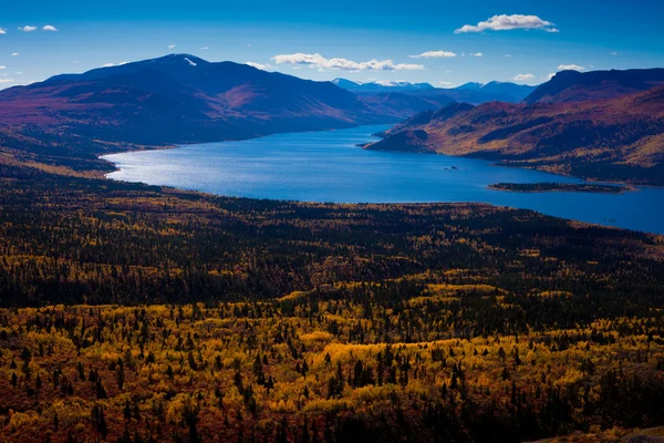 鱼湖，育空地区加拿大 — 图库照片