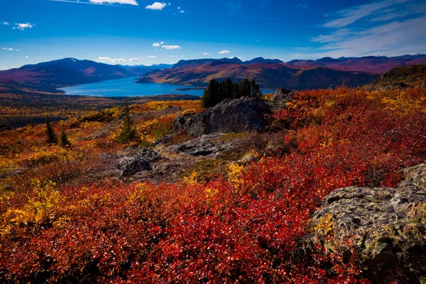 Fischsee, Yukon Territorium, Kanada — Stockfoto