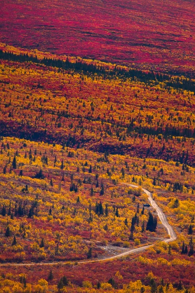 Straße durch herbstliche Tundra — Stockfoto