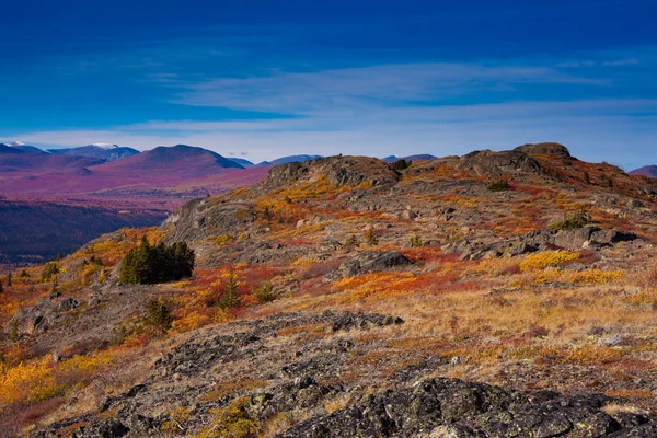 Tundra alpina — Fotografia de Stock