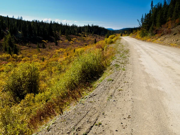 Podzimních barvách v south canol road, yukon t, Kanada — Stock fotografie