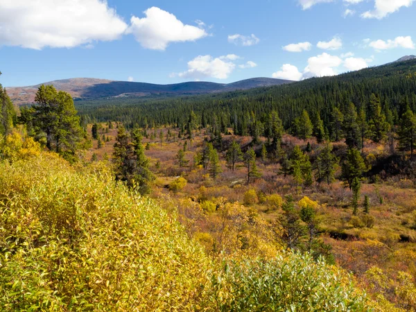 Fall in northern wilderness, Yukon T, Canada — Stock Photo, Image