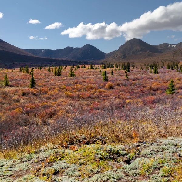 Alpine landschap in de herfst — Stockfoto