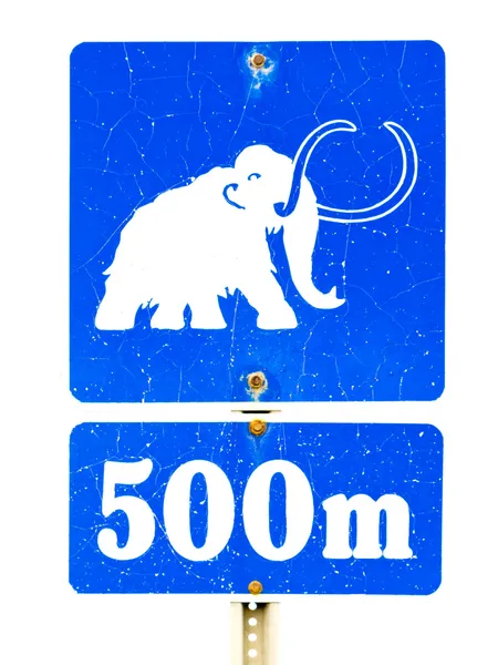 Funny mammoth symbol on road sign — Stock Photo, Image