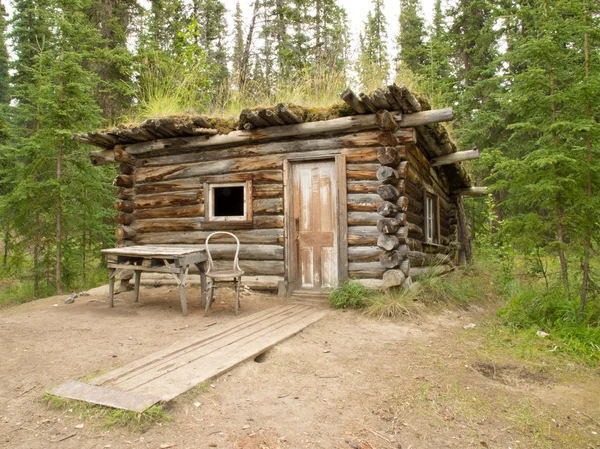 Yukon Tayga çürüyen eski geleneksel günlük kabin — Stok fotoğraf