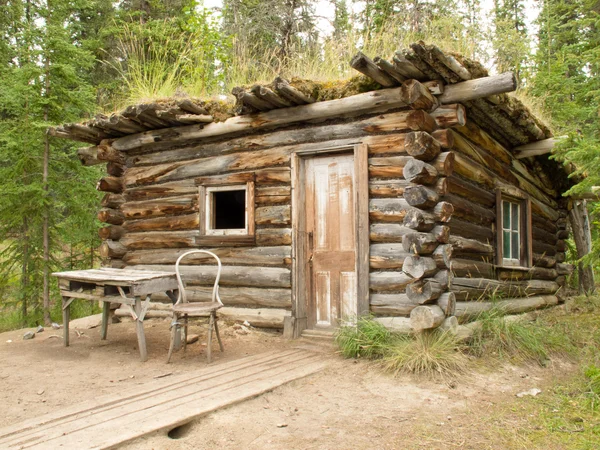 Velha cabine de madeira tradicional apodrecendo em Yukon taiga — Fotografia de Stock