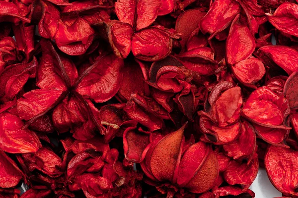 stock image Dry Poinsettia christmas background