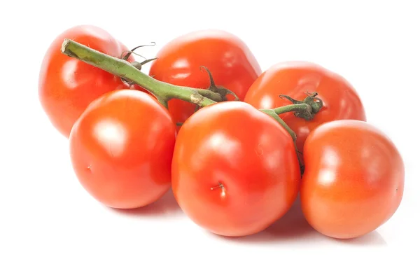 Zes tomaten — Stockfoto