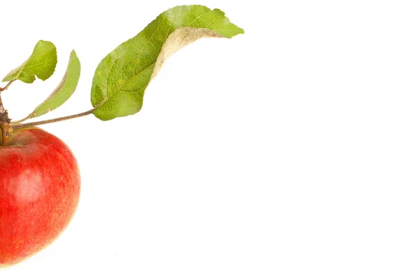 Naturligt rött äpple — Stockfoto