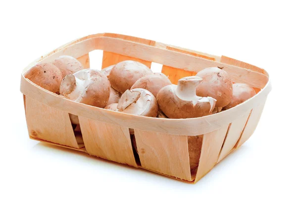 Champignons in basket — Stock Photo, Image