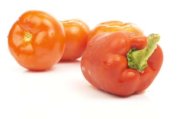 Червоний перець і помідори — стокове фото