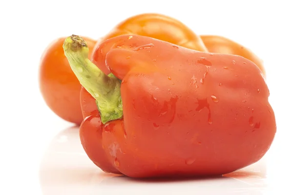 Червоний перець і помідори — стокове фото