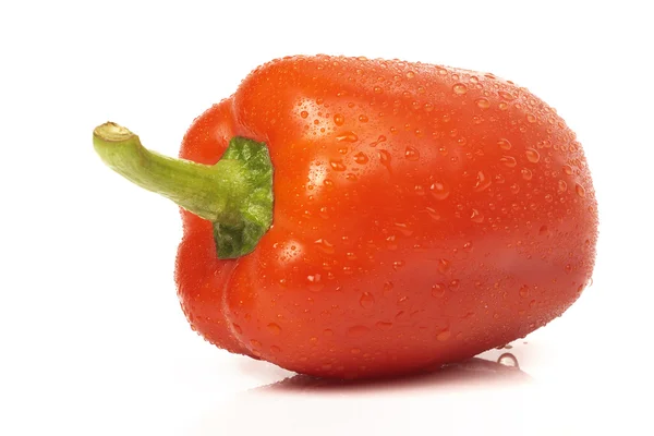 Paprica roja húmeda —  Fotos de Stock