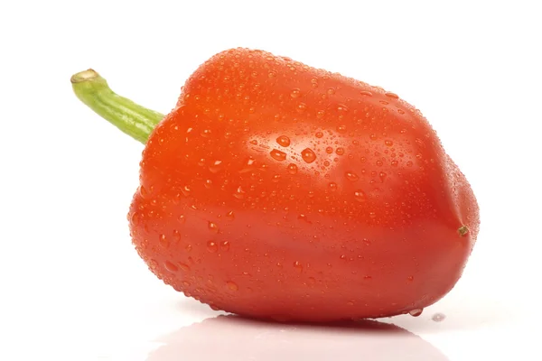 湿红青椒 — 图库照片