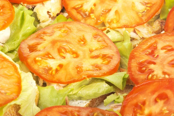 Sandviches aperti con insalata di pomodori e pollo — Foto Stock