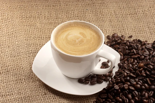 Cappuccino ve ehlileştirmek yere kahve çekirdekleri — Stok fotoğraf