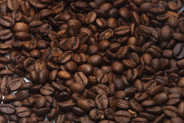 Haldy plodin kávy — Stock fotografie