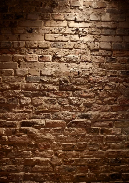 stock image Brick Wall