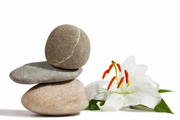 Evenwicht tussen stenen en Witte Lelie — Stockfoto