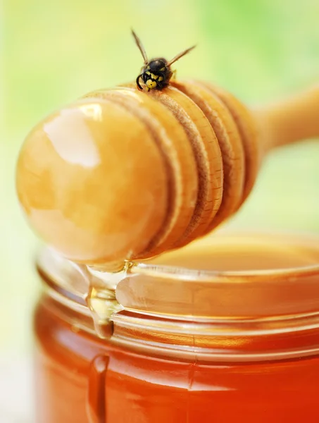 Mel drizzler com abelha — Fotografia de Stock