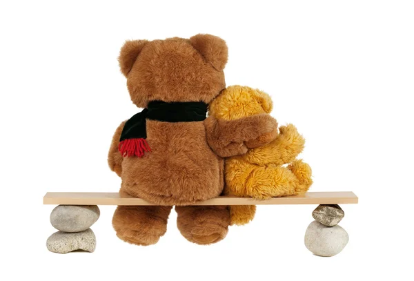 Twee teddy bear — Stockfoto