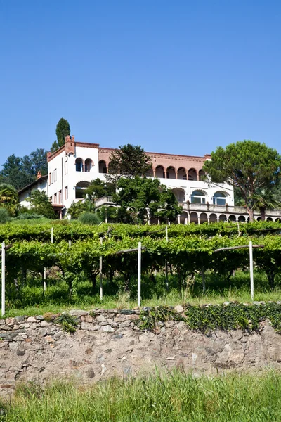 Charmante villa italienne dans le vignoble — Photo