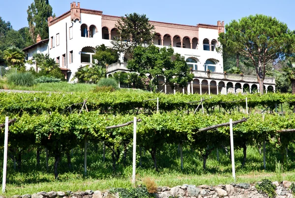 Italian charming villa in vineyard — Stock Photo, Image