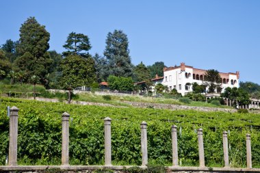 İtalyan büyüleyici villa, bağ