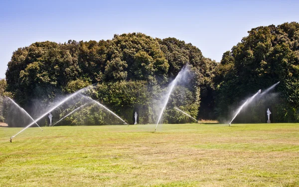 Jardim de luxo: irrigação — Fotografia de Stock