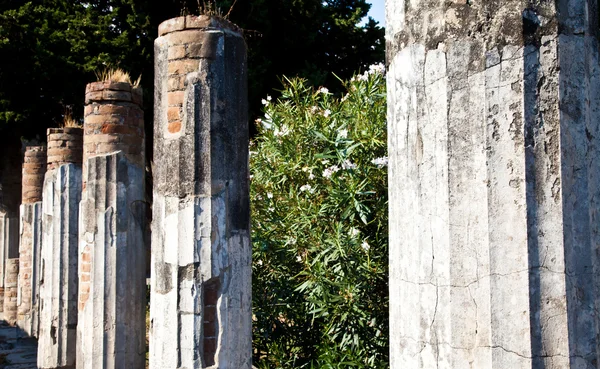Помпеи - археологические раскопки — стоковое фото