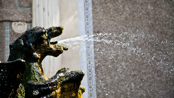 Fuente de dragones, Villa d 'Este - Tivoli — Foto de Stock