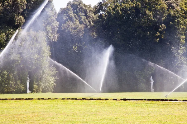 Luxury garden: irrigation