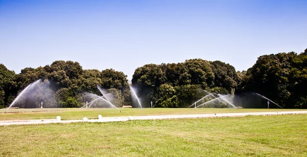 Luxe tuin: irrigatie — Stockfoto