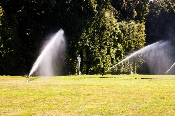 豪华花园: 灌溉 — 图库照片