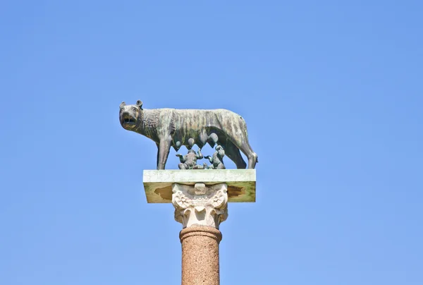Varg med romulus och remus — Stockfoto