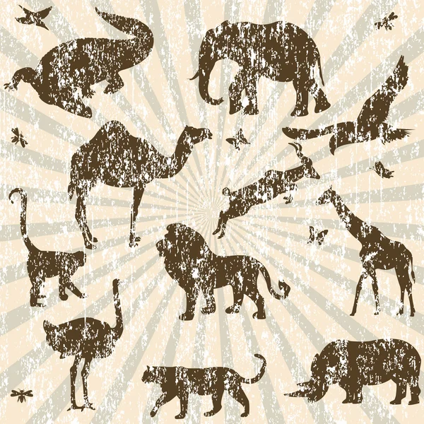 Retro grunge background with animals silhouettes — Stock Photo, Image