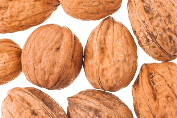 Vlašské ořechy v detailním — Stock fotografie