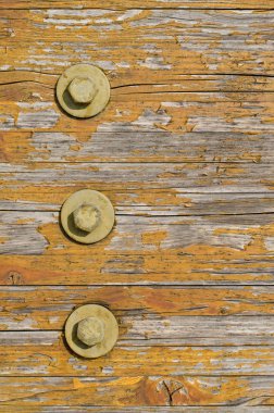 Wooden texture with bolts clipart