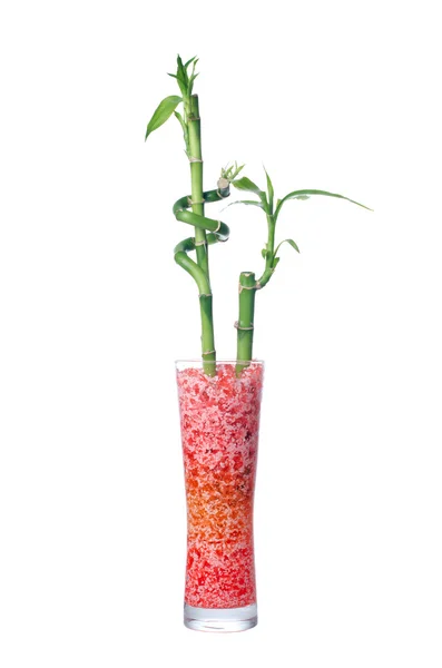 Vaso di vetro con bambù — Foto Stock