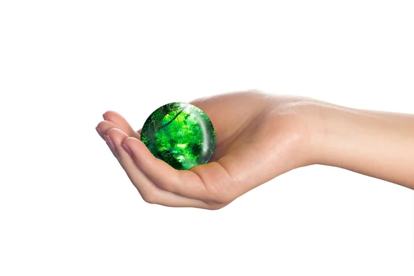Forest Sphere in Hand — Stock Photo, Image