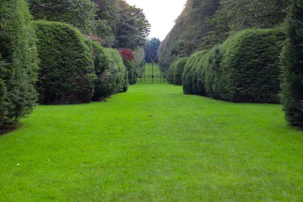 Rezydencja ogród — Zdjęcie stockowe