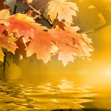 Golden autumn weather clipart