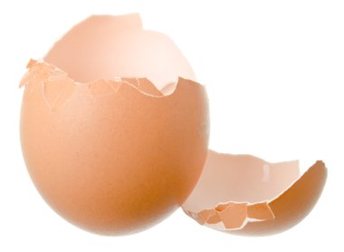 Broken egg shell