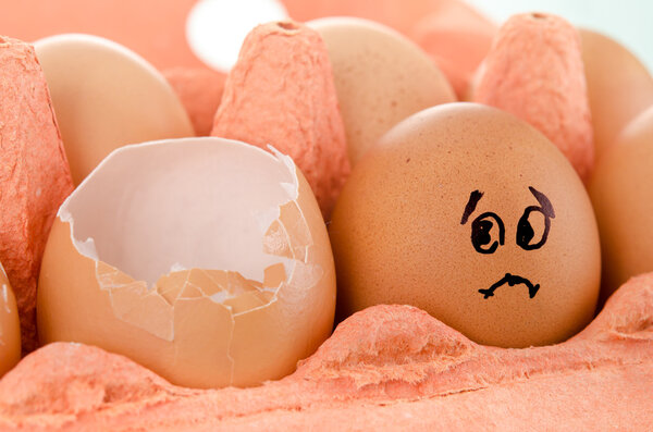 Поднос с куриными яйцами
