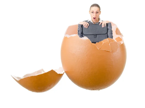 Surprise in broken egg shell — Stock Photo, Image