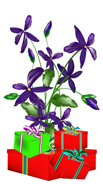 Celebratory gifts — Stock Photo, Image
